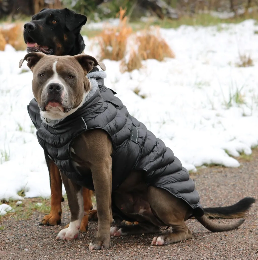 Alpine Extreme Weather Black Puffer Coat