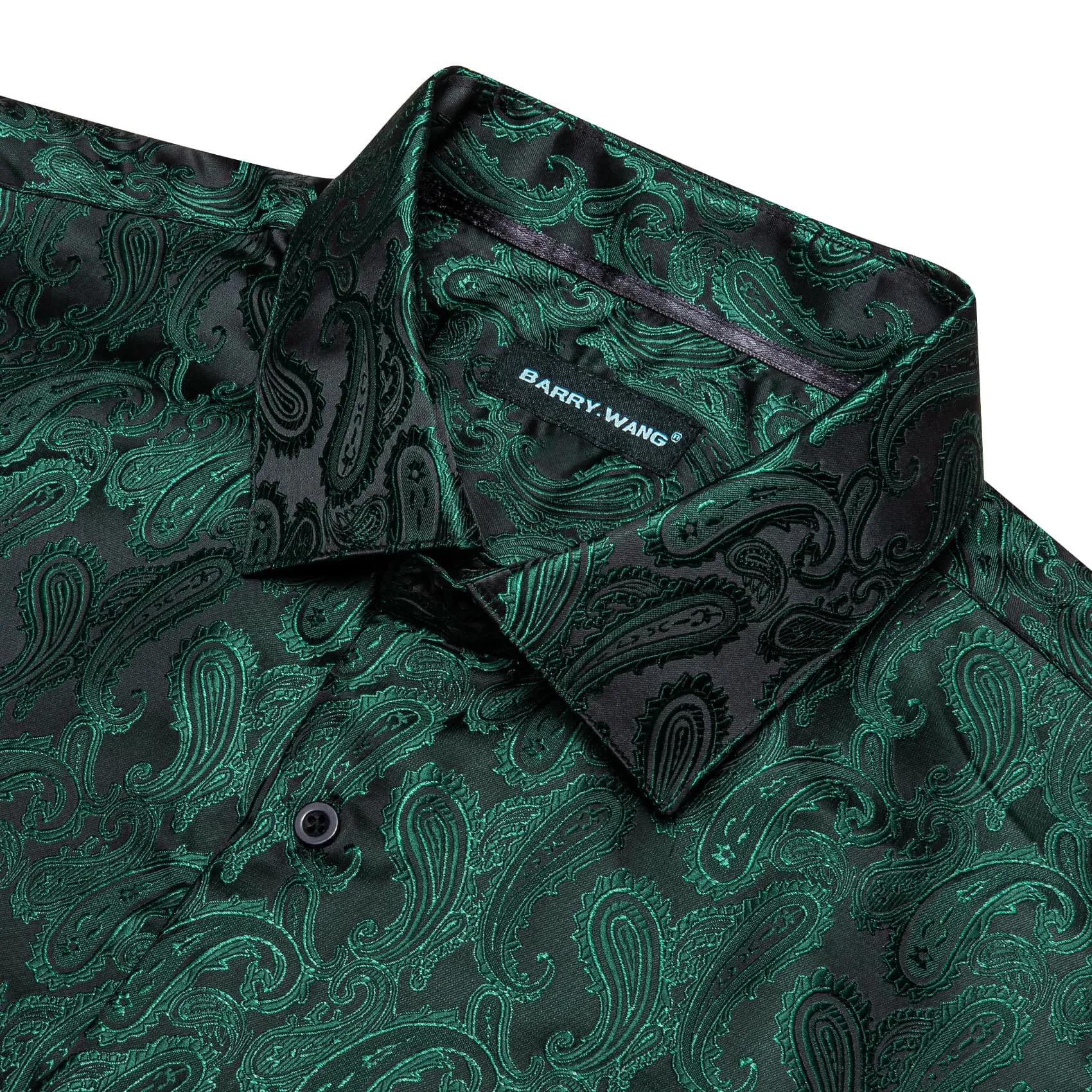 Barry Wang Men's Button Up Shirt Dark Green Paisley Long Sleeve Shirt