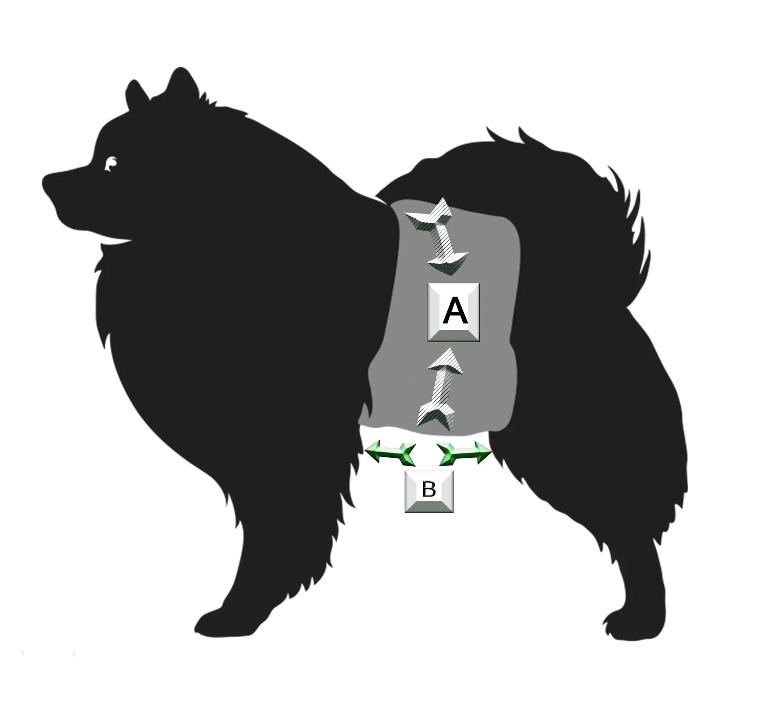 Black Watch Male Dog Belly Band - Poppers