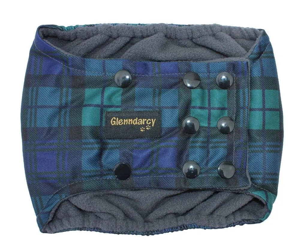 Black Watch Male Dog Belly Band - Poppers