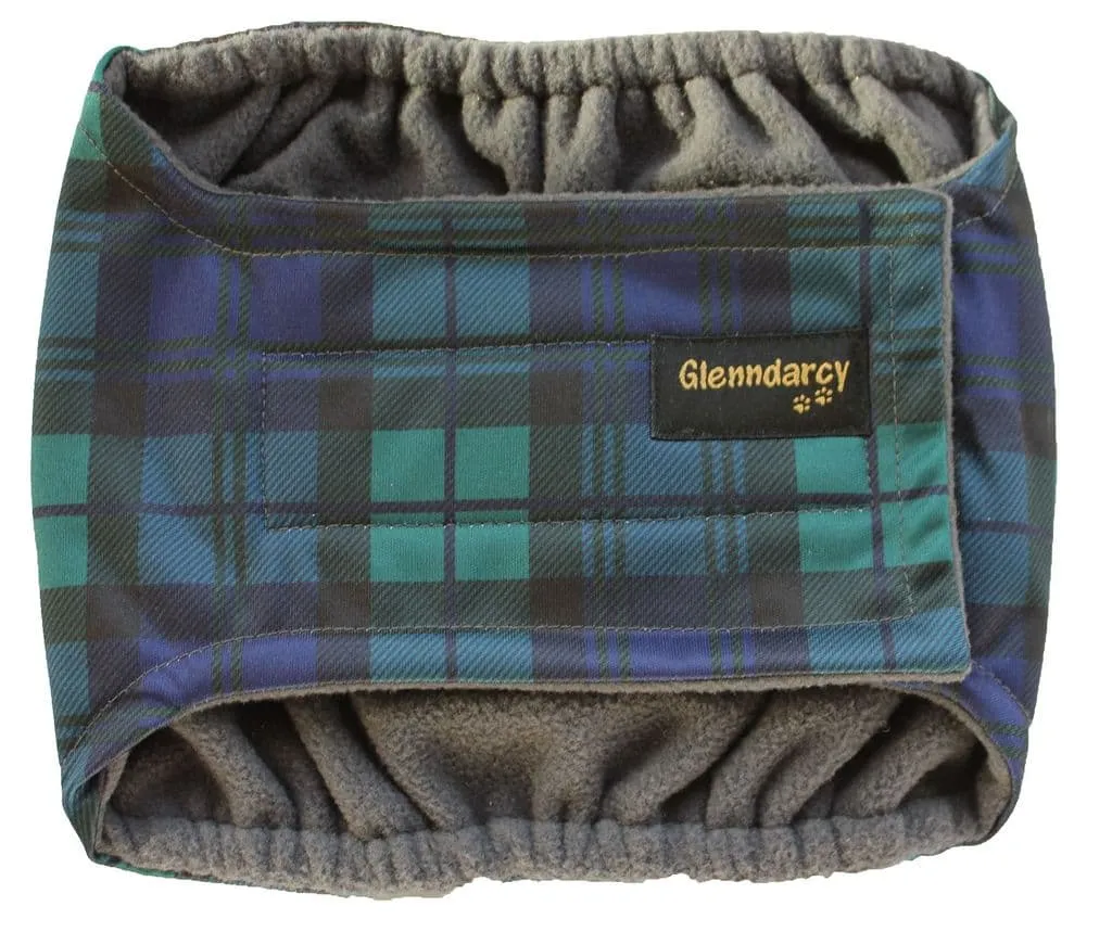 Black Watch Male Dog Belly Band