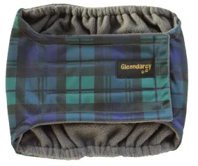 Black Watch Male Dog Belly Band