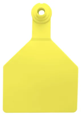 Z2 2 Piece Maxi Tags, Blank